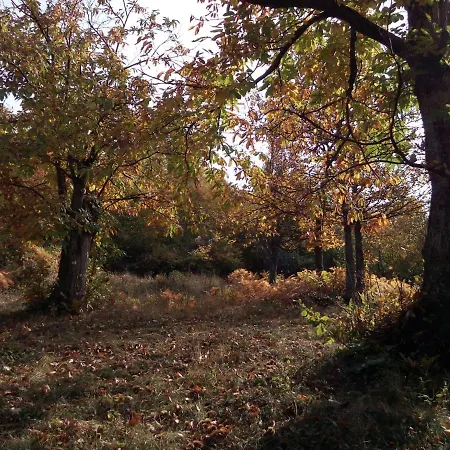Casa Nel Bosco, Appennino Tosco Emiliano Apartman Camugnano