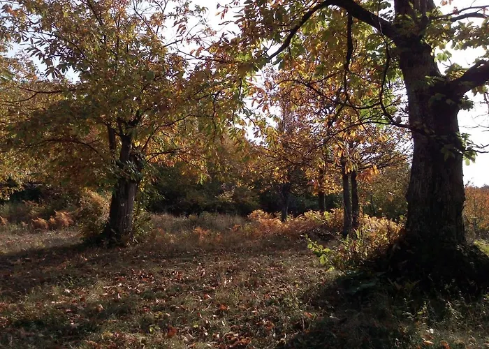 Casa Nel Bosco, Appennino Tosco Emiliano 아파트 Camugnano