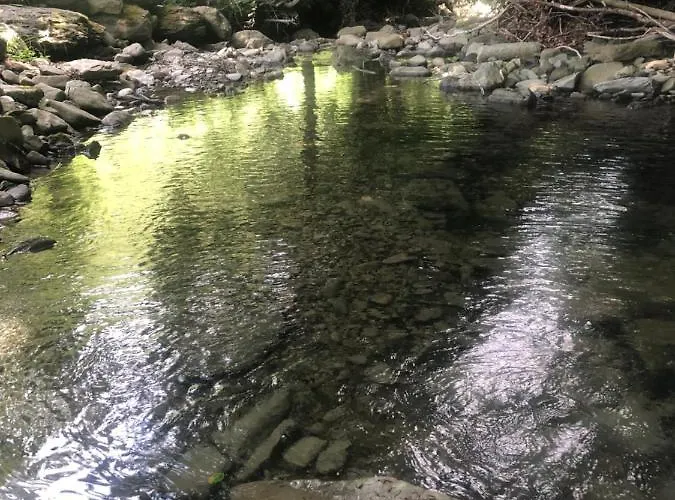 Casa Nel Bosco, Appennino Tosco Emiliano Διαμέρισμα *