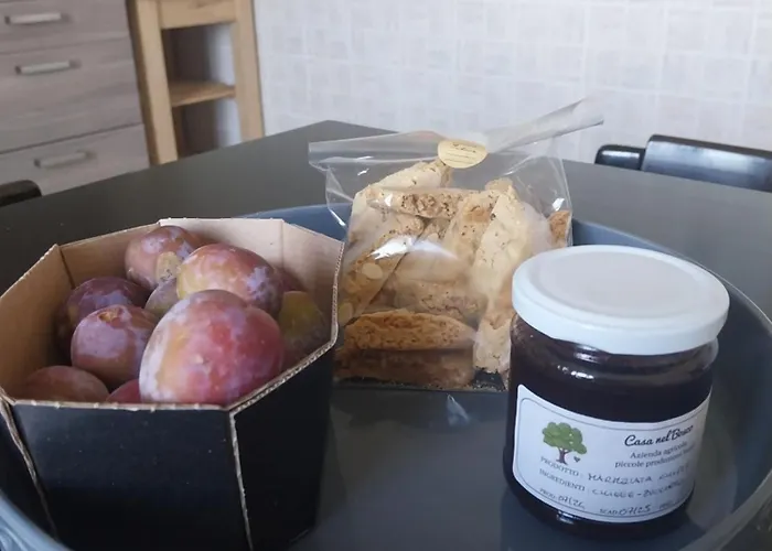 Casa Nel Bosco, Appennino Tosco Emiliano * Camugnano